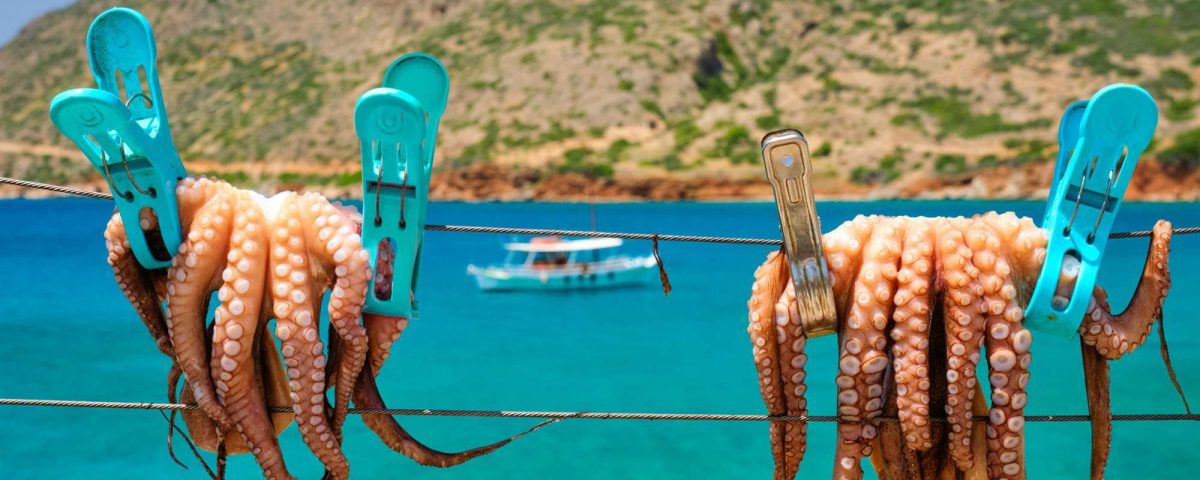 Alojamiento La Joya de Cabo de Gata - pulpo seco